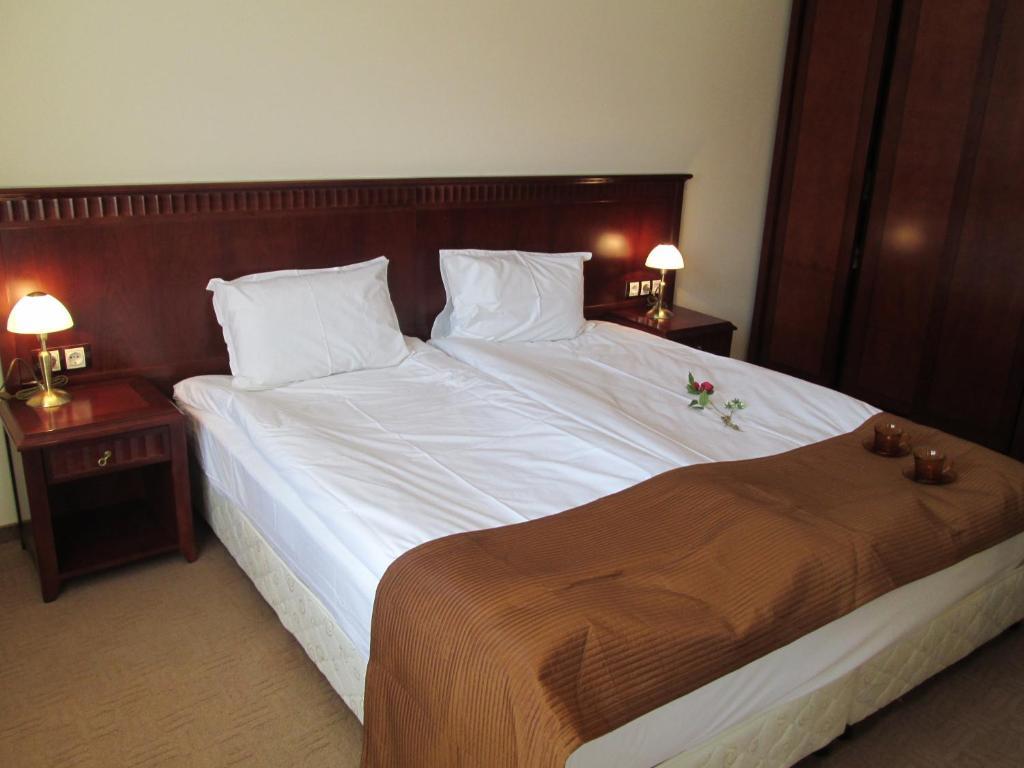 Downtown Alexander Services Apartments Бансько Номер фото
